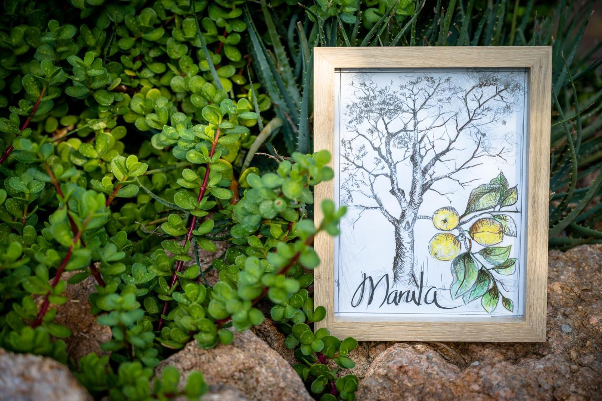 Bosveld Villa Marloth Park Ngoại thất bức ảnh